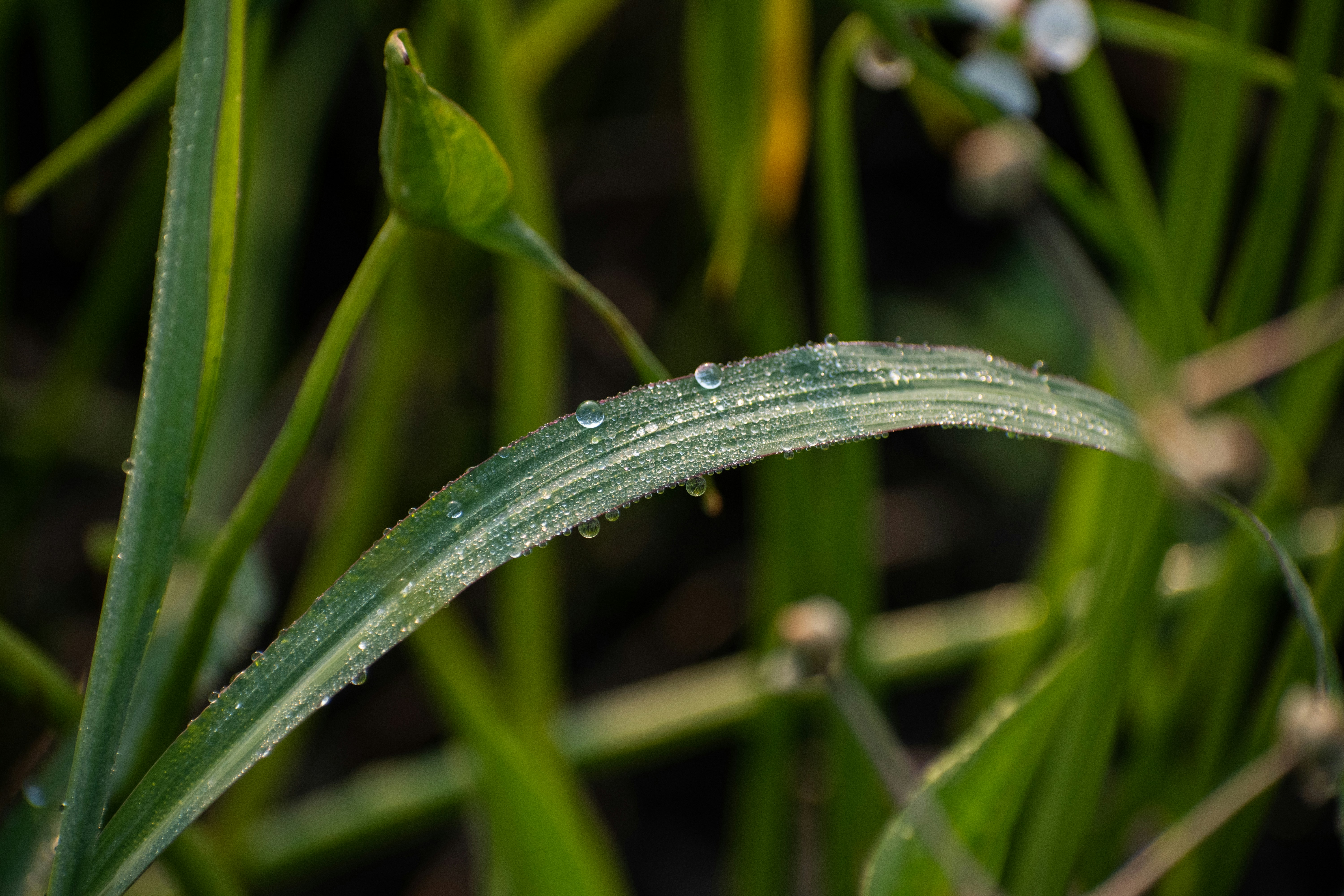 Photo by elisastonephotography