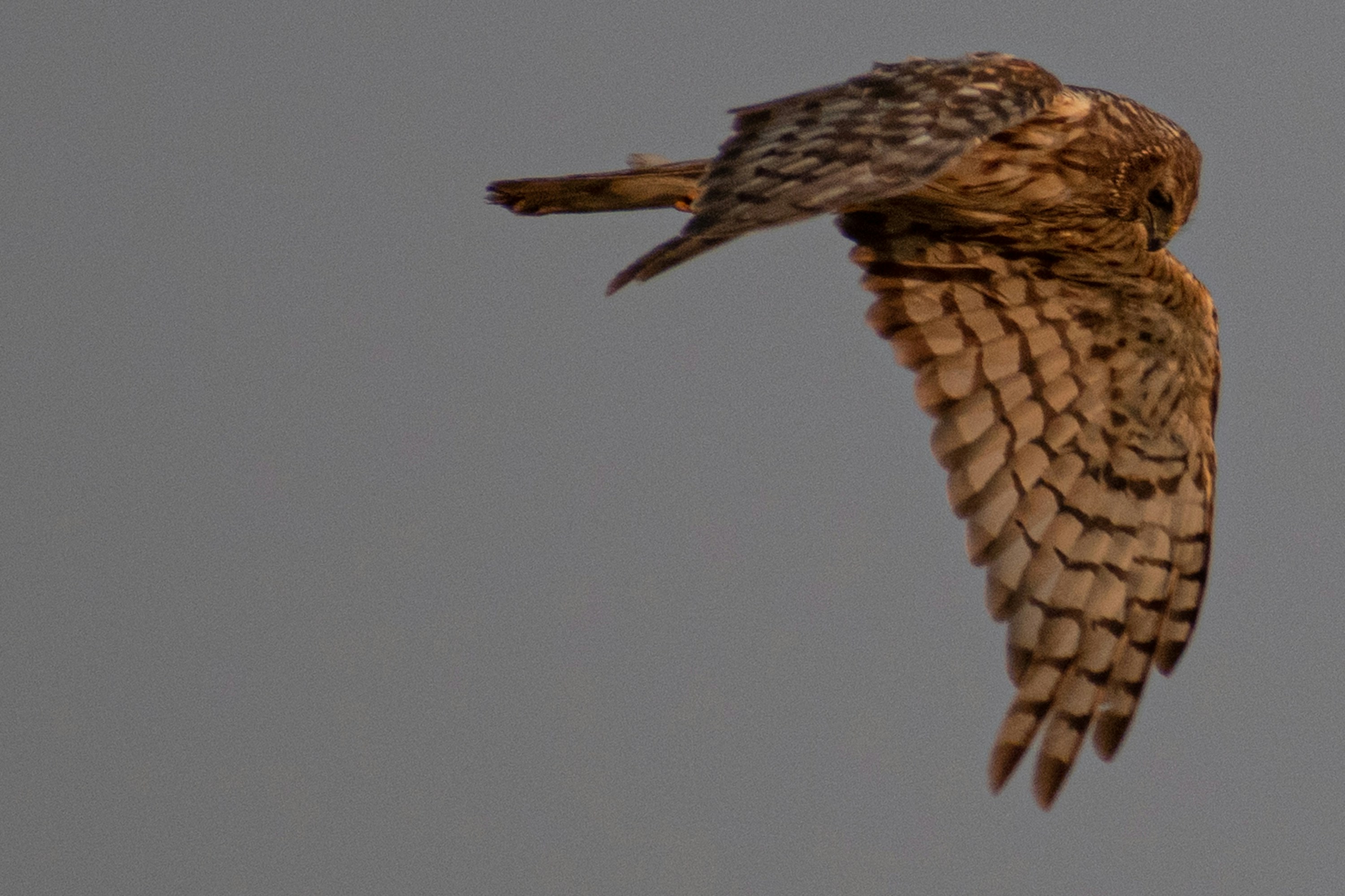 Photo by elisastonephotography