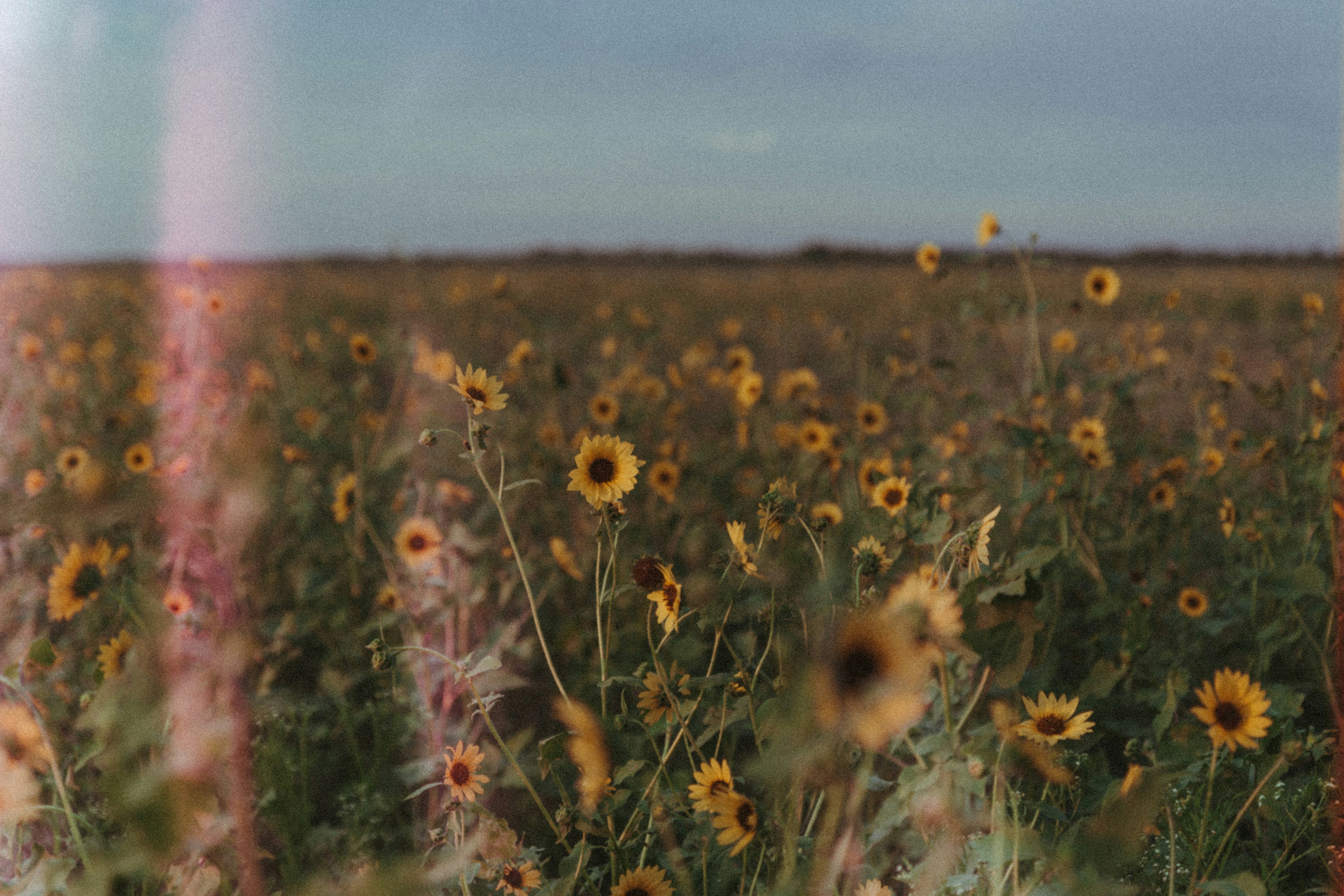Photo by benignohoyuela