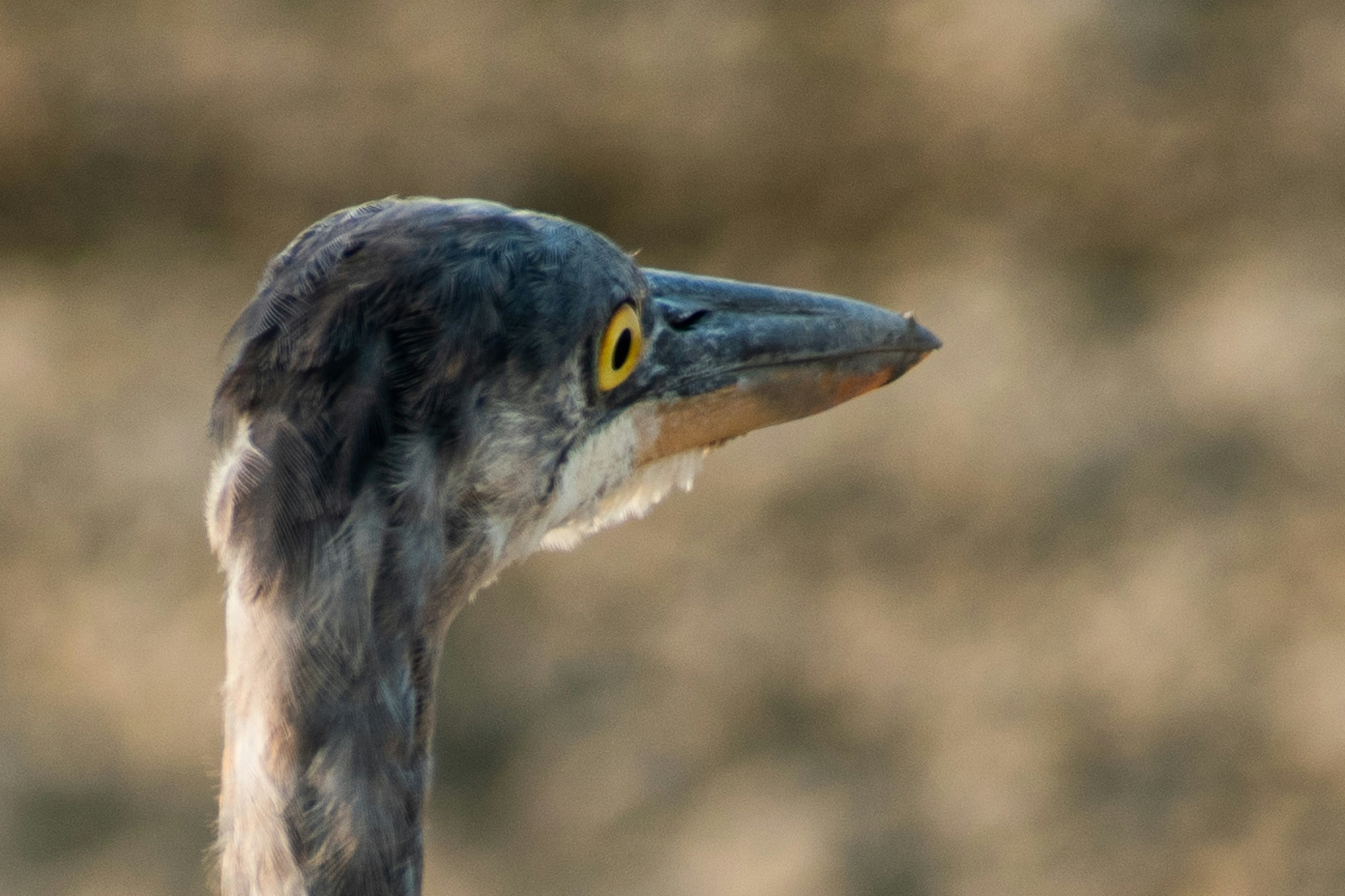 Photo by elisastonephotography