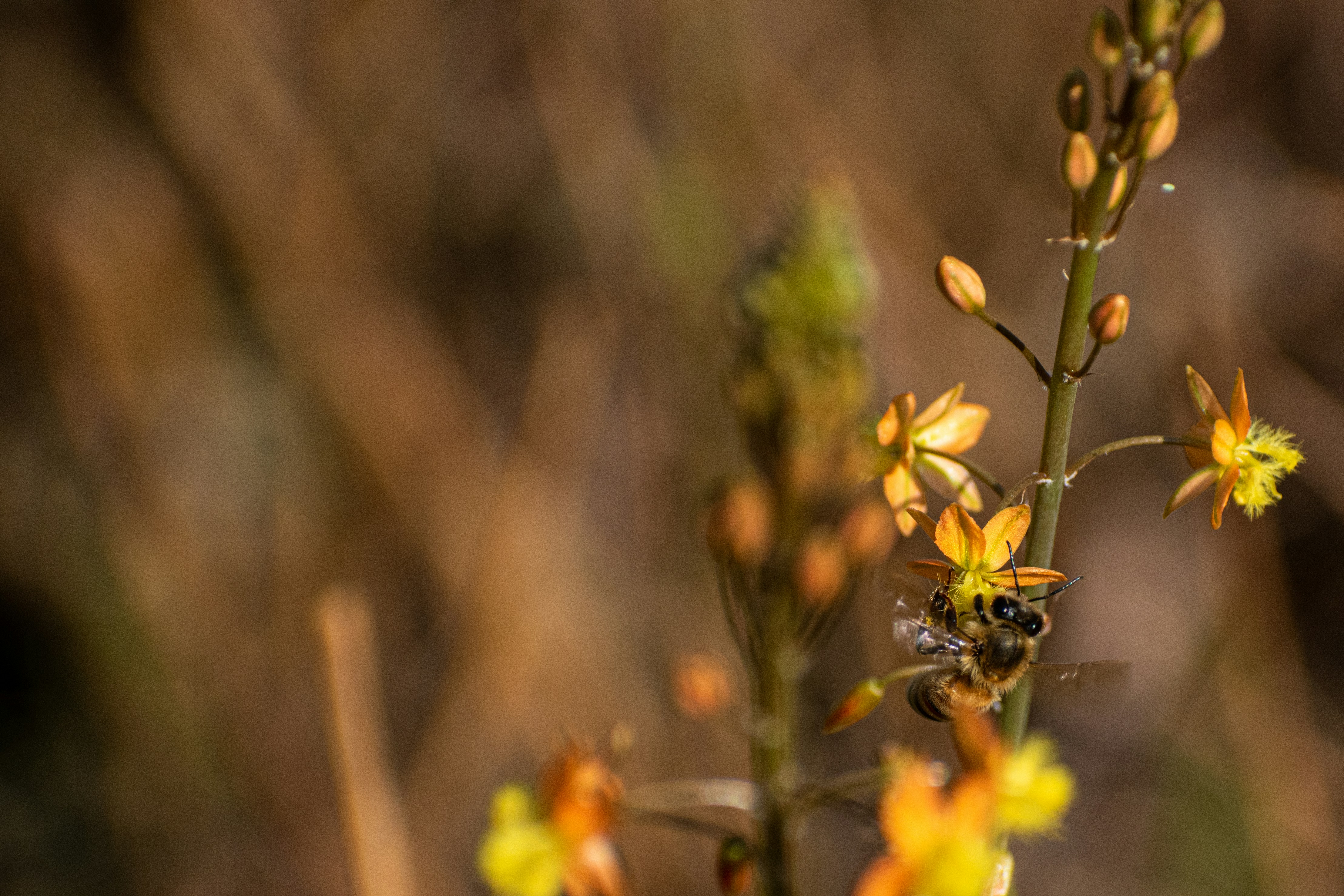 Photo by elisastonephotography