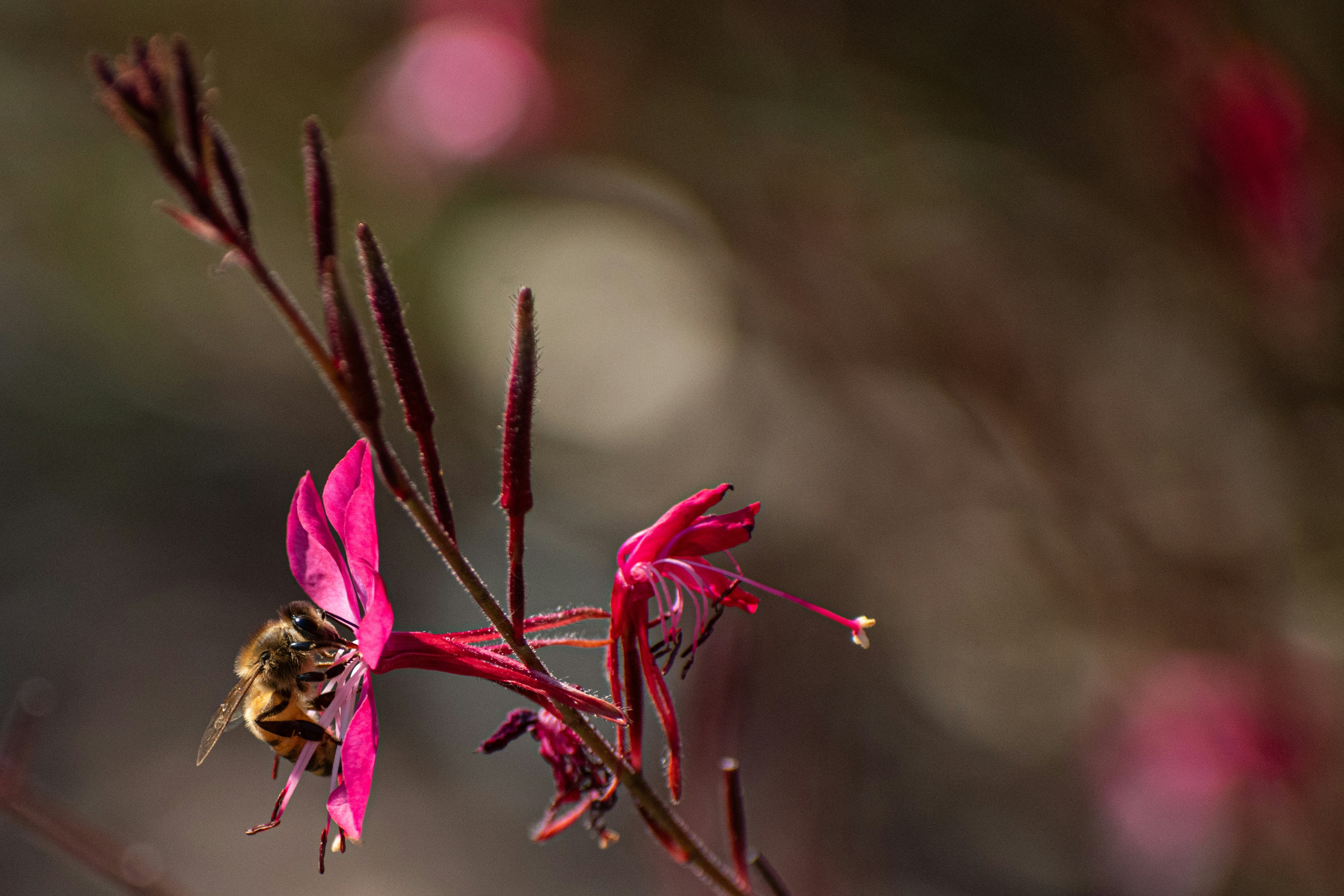 Photo by elisastonephotography