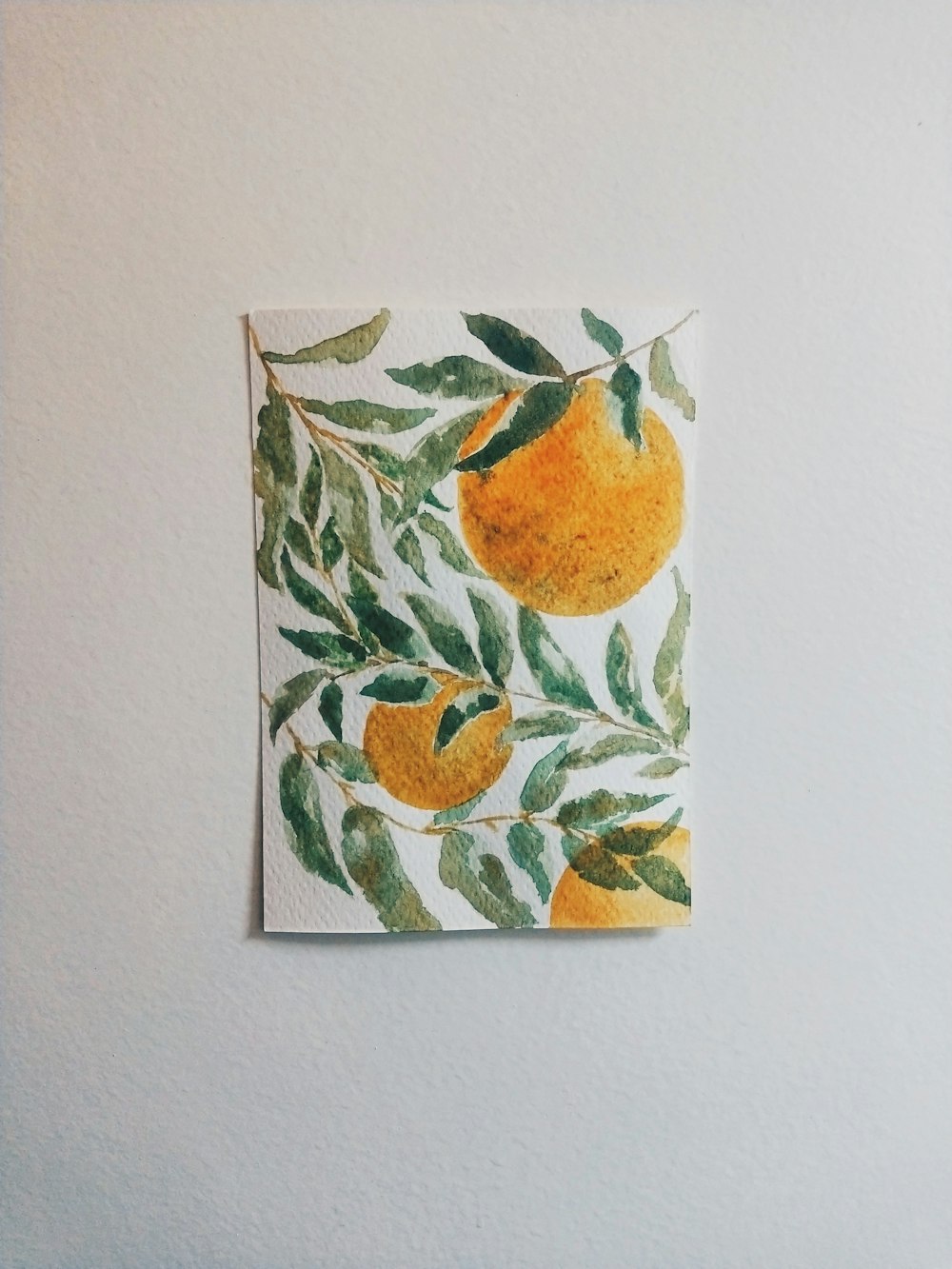 orange fruit painting on white wall