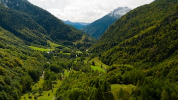 A lush green valley surrounded by densely forested mountains with a snow-capped peak in the distance. The landscape is dotted with small clusters of trees and open grassy areas, with hints of a winding path or road cutting through the greenery.