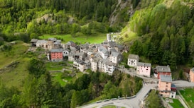 A quaint, picturesque village nestled in a lush, green valley. The village comprises several charming, rustic buildings with varying colors like pink, red, and white. Surrounding the village are dense forests and hills, creating a peaceful and serene atmosphere.