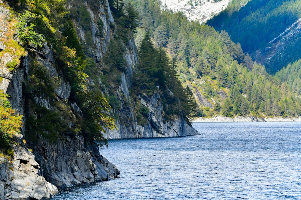 green trees on rocky mountain beside body of water during daytime