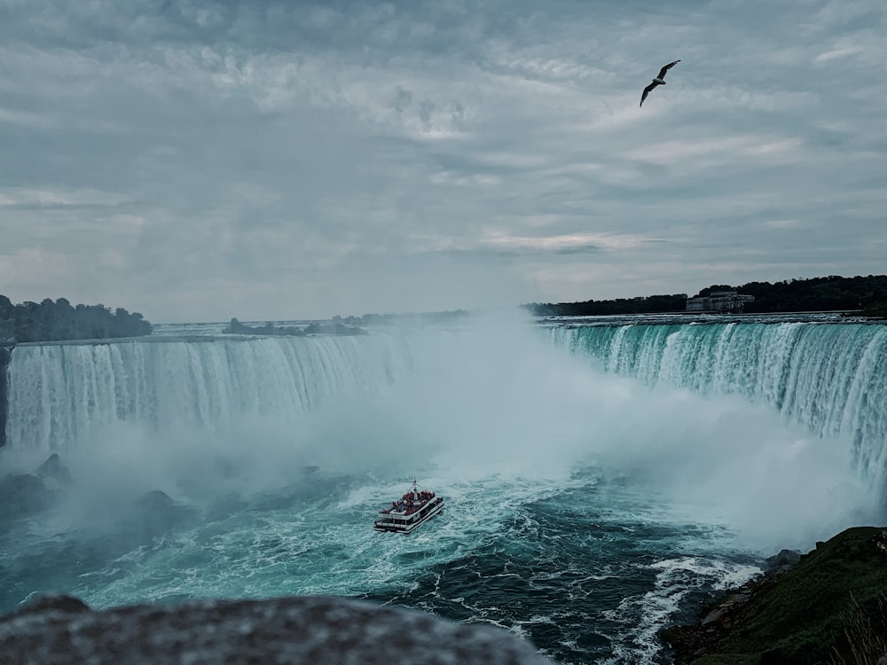 bird flying over water falls