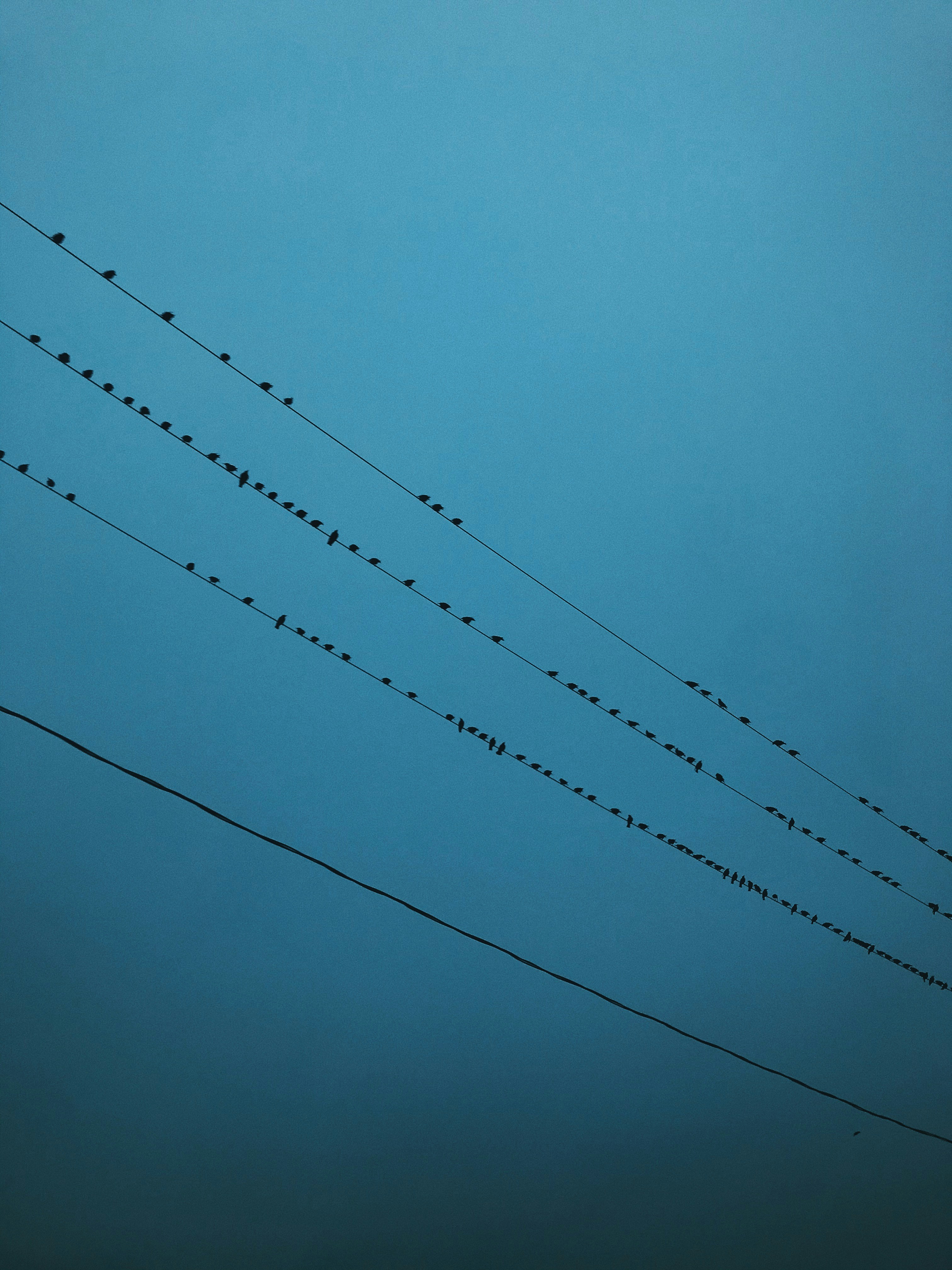 photo-1601158327333-6b73d0696dc5?ixid=M3wxMjA3fDB8MXxzZWFyY2h8Mnx8JUQwJUJEJUQwJUIwJUQwJUJBJUQxJTgwJUQxJTgzJUQxJTgyJUQwJUJBJUQwJUIwJTIwJUQwJUJGJUQwJUJFJUQwJUI0JUQwJUJGJUQwJUI4JUQxJTgxJUQxJTg3JUQwJUI4JUQwJUJBJUQwJUJFJUQwJUIyJTIwJUQwJUIyJTIwJUQxJTgyJUQwJUIzfGVufDB8fHx8MTc1NjkyMjE4M3ww\u0026ixlib=rb-4.1.0