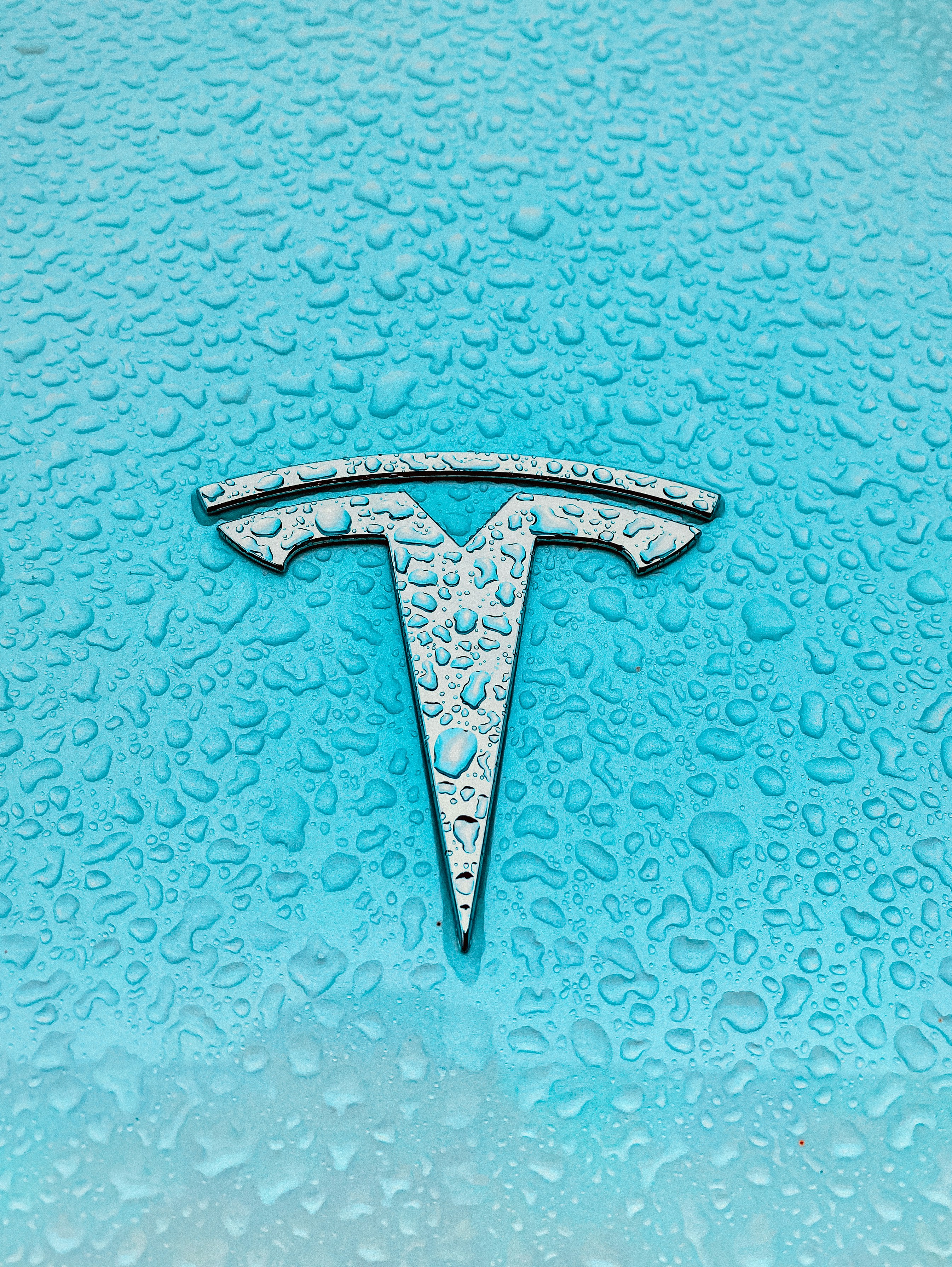 Telsa All For Self Driving Cars