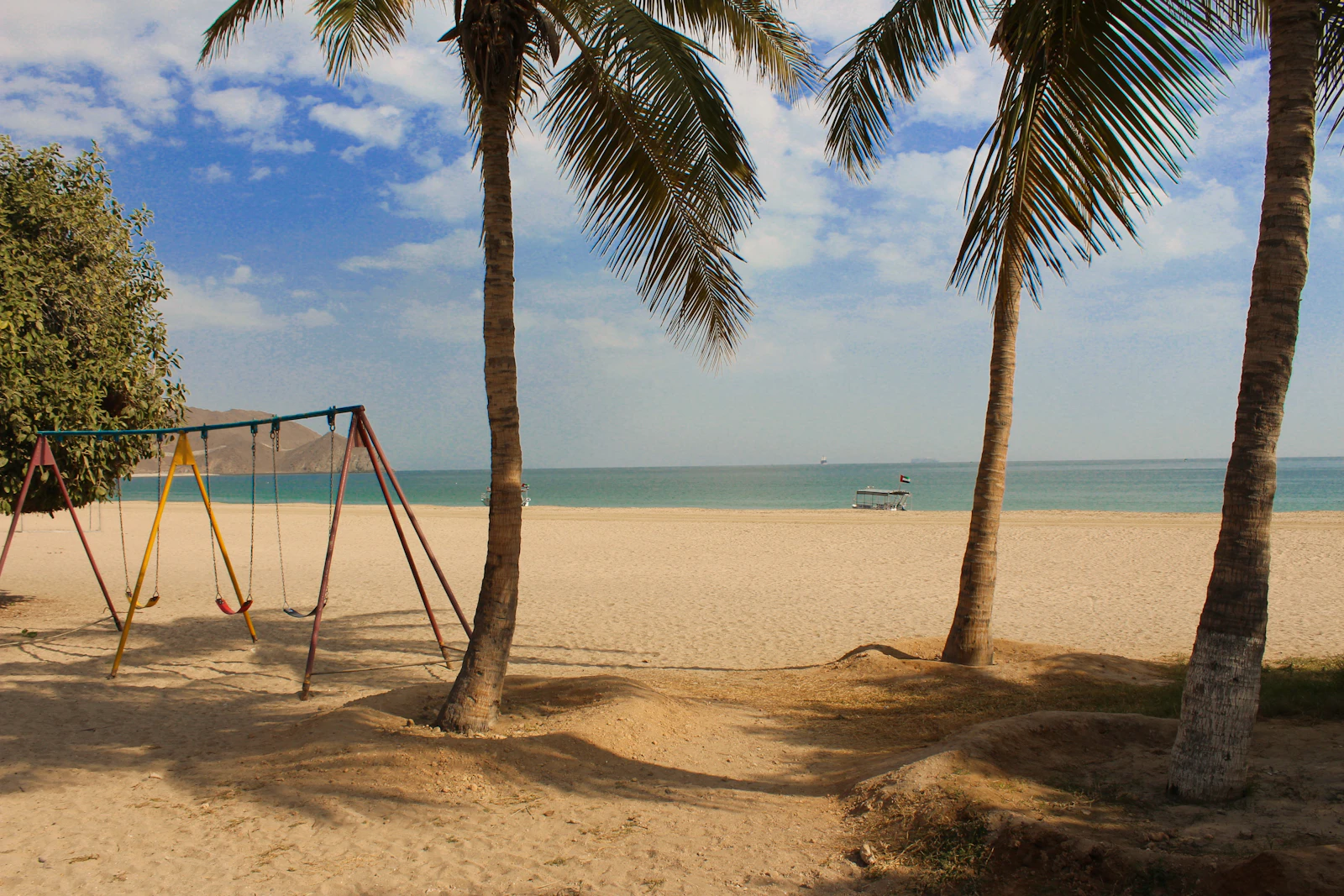 Palm trees on the sand at Khorfakkan Beach