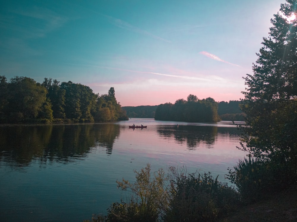 alberi verdi accanto al lago sotto il cielo blu durante il giorno