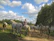 Man riding a horse along a lush tropical path with bright blue skies overhead.