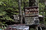 An overgrown forest area contains two abandoned, rusting cars partly covered in moss and leaves. A weathered sign is nailed to a tree, with the bold text criticizing the United States for being the only developed nation with medical bankruptcies.