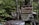 An overgrown forest area contains two abandoned, rusting cars partly covered in moss and leaves. A weathered sign is nailed to a tree, with the bold text criticizing the United States for being the only developed nation with medical bankruptcies.