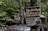 An overgrown forest area contains two abandoned, rusting cars partly covered in moss and leaves. A weathered sign is nailed to a tree, with the bold text criticizing the United States for being the only developed nation with medical bankruptcies.