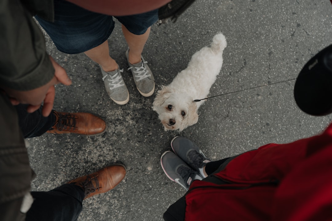 person wearing black and white sneakers