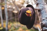 A stylish dark brown felt hat is hanging from a tree branch. The hat features a decorative band with a yellow and red feather embellishment. The background is a natural, blurred forest setting with soft bokeh lighting creating a serene atmosphere.