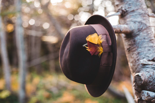 A stylish cap and sun hat hanging on a tree branch under bright sunlight.