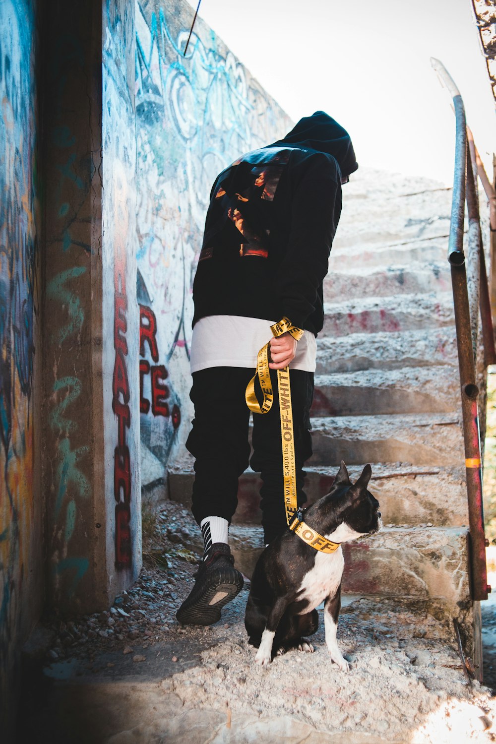 Off white supreme on dog HD wallpapers