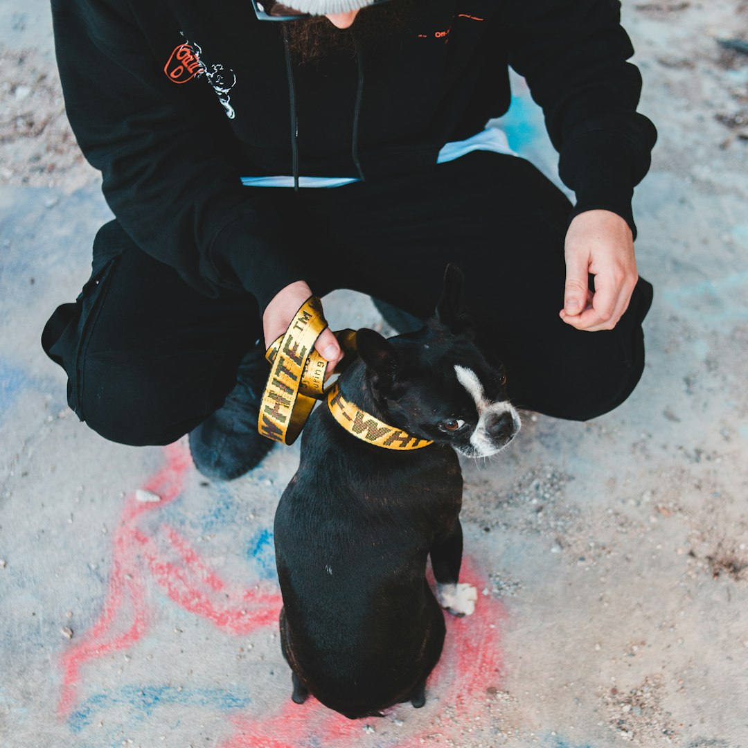 person in black jacket holding black and white short coated small dog