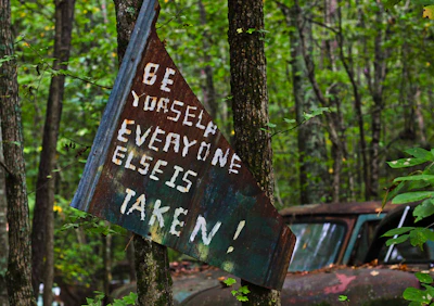 brown wooden signage near green trees during daytime