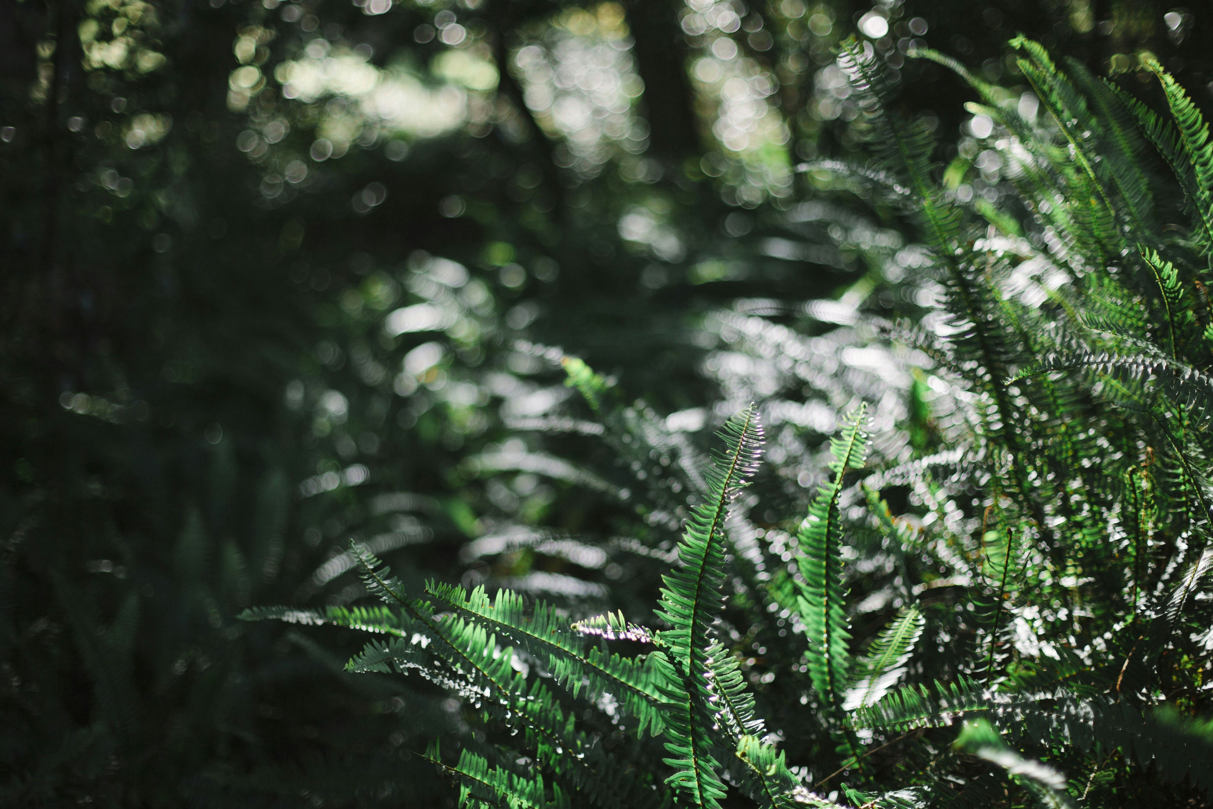 Photo by weekendtripcreator