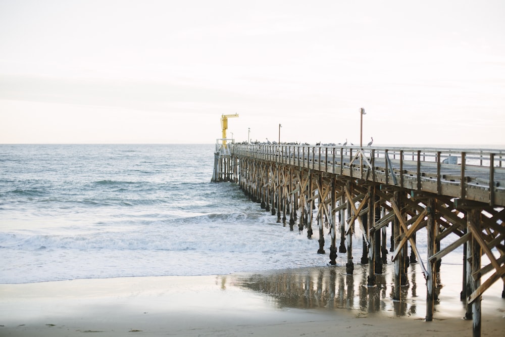 brown wooden dock on sea during daytime