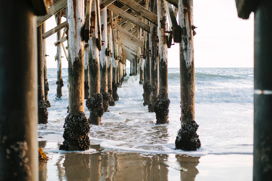 brown wooden dock on sea during daytime