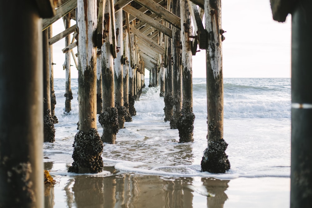 brown wooden dock on sea during daytime