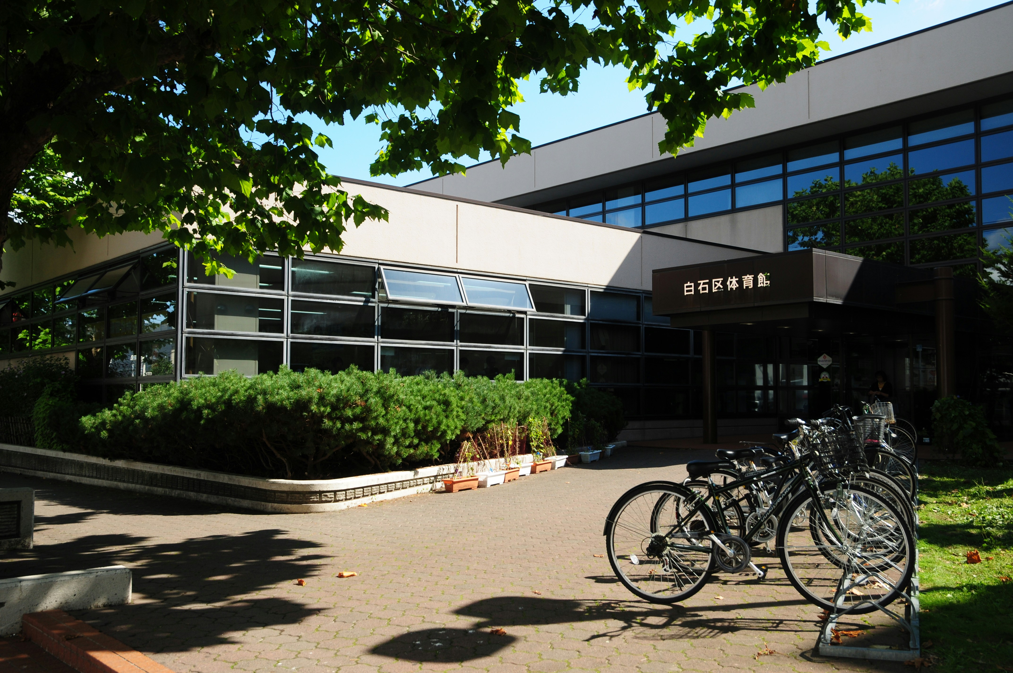 Photo by jackyfish_image