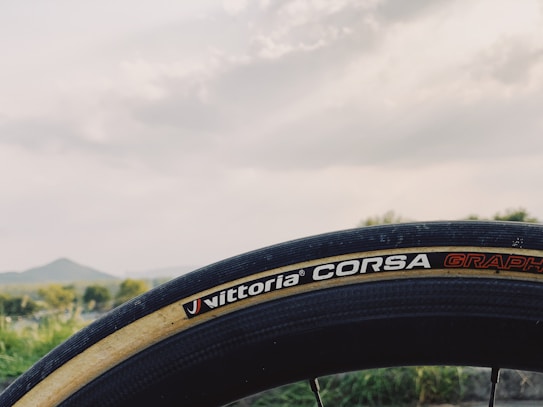 A close-up view of a bicycle tire labeled 'Vittoria Corsa Graphene' with a scenic outdoor backdrop featuring a mountain, trees, and a cloudy sky.