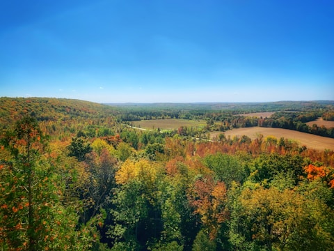 A panoramic view of a vibrant autumn landscape.