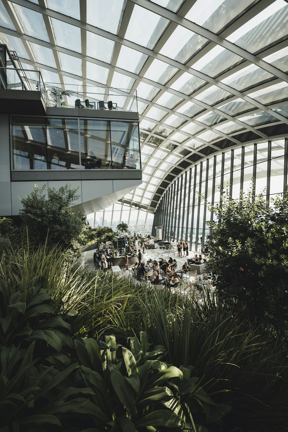 green plants inside a building