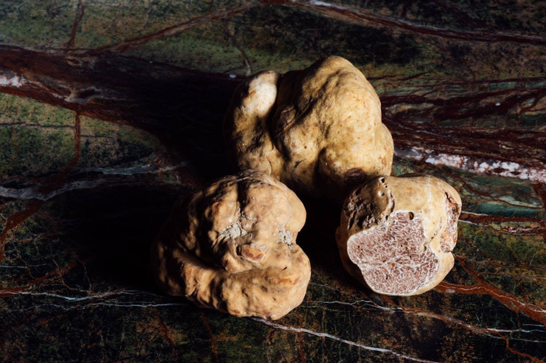 brown stones on brown wooden surface, Alba white truffles<p></figure>from Chef Mirko Febbrile