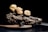 Three large truffles are artfully arranged on a piece of textured wood placed on a surface. The background is dark, highlighting the earthy tones of the truffles and the wood.
