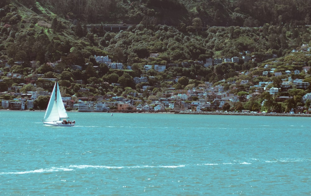 a sailboat in a body of water with a city in the background