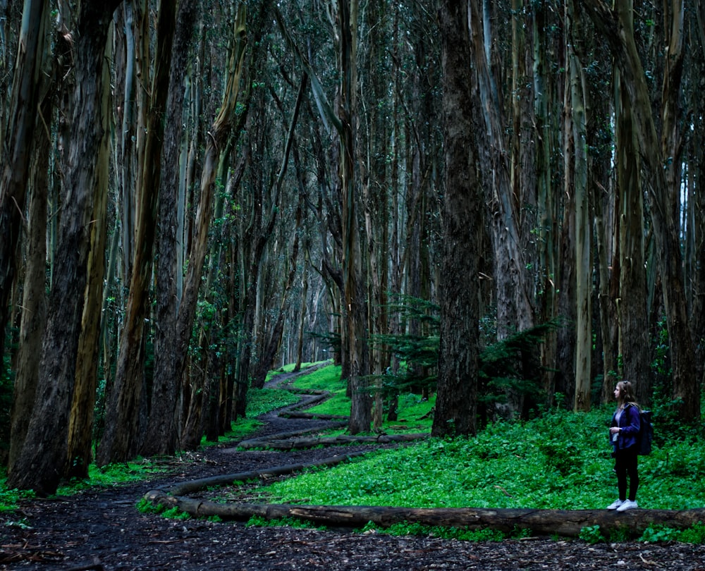 person in black jacket and blue denim jeans walking on pathway in between trees during daytime