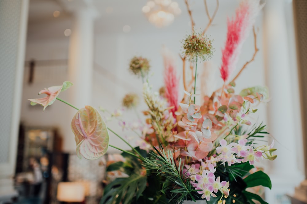 pink and white flowers in tilt shift lens