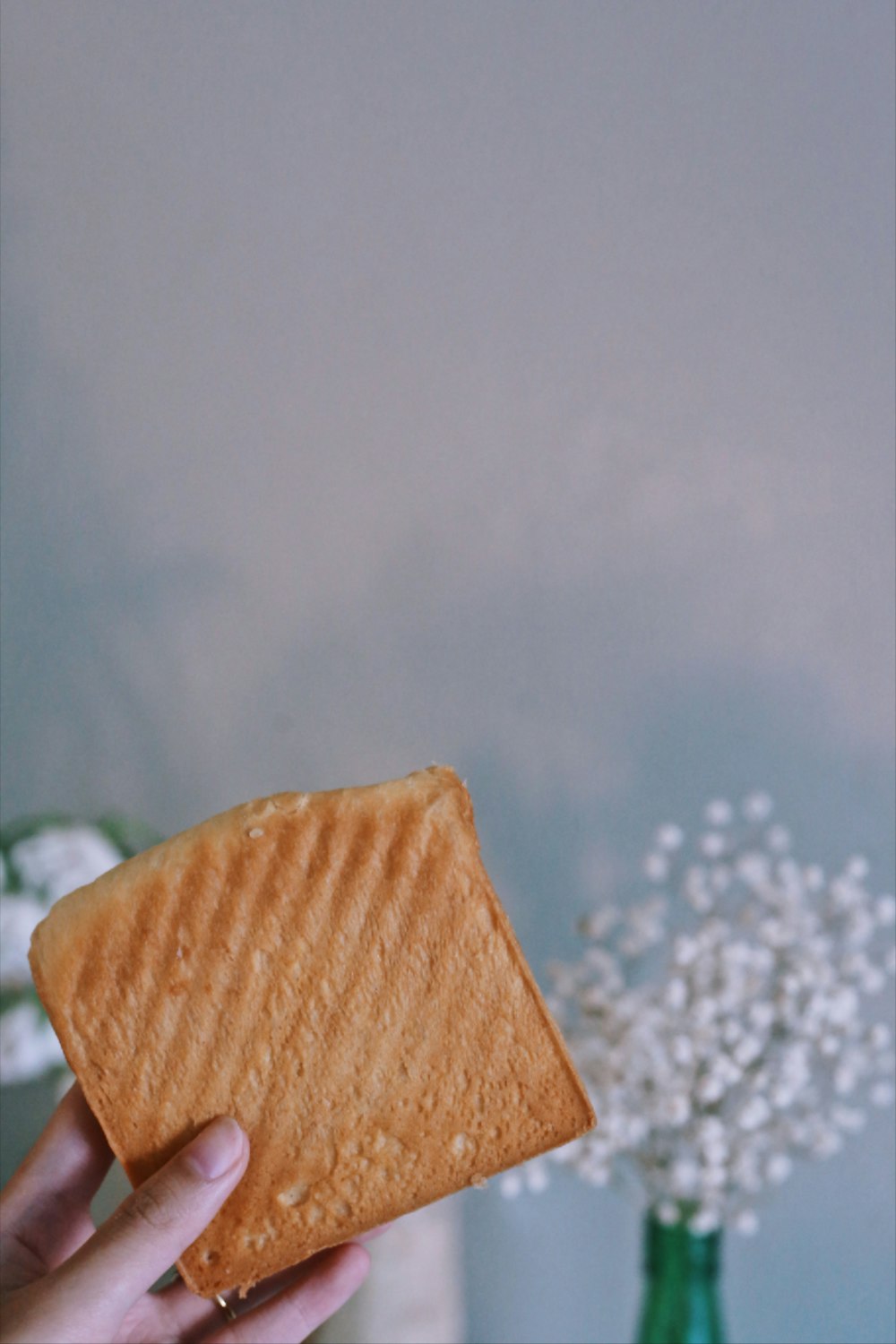 brown bread on white snow