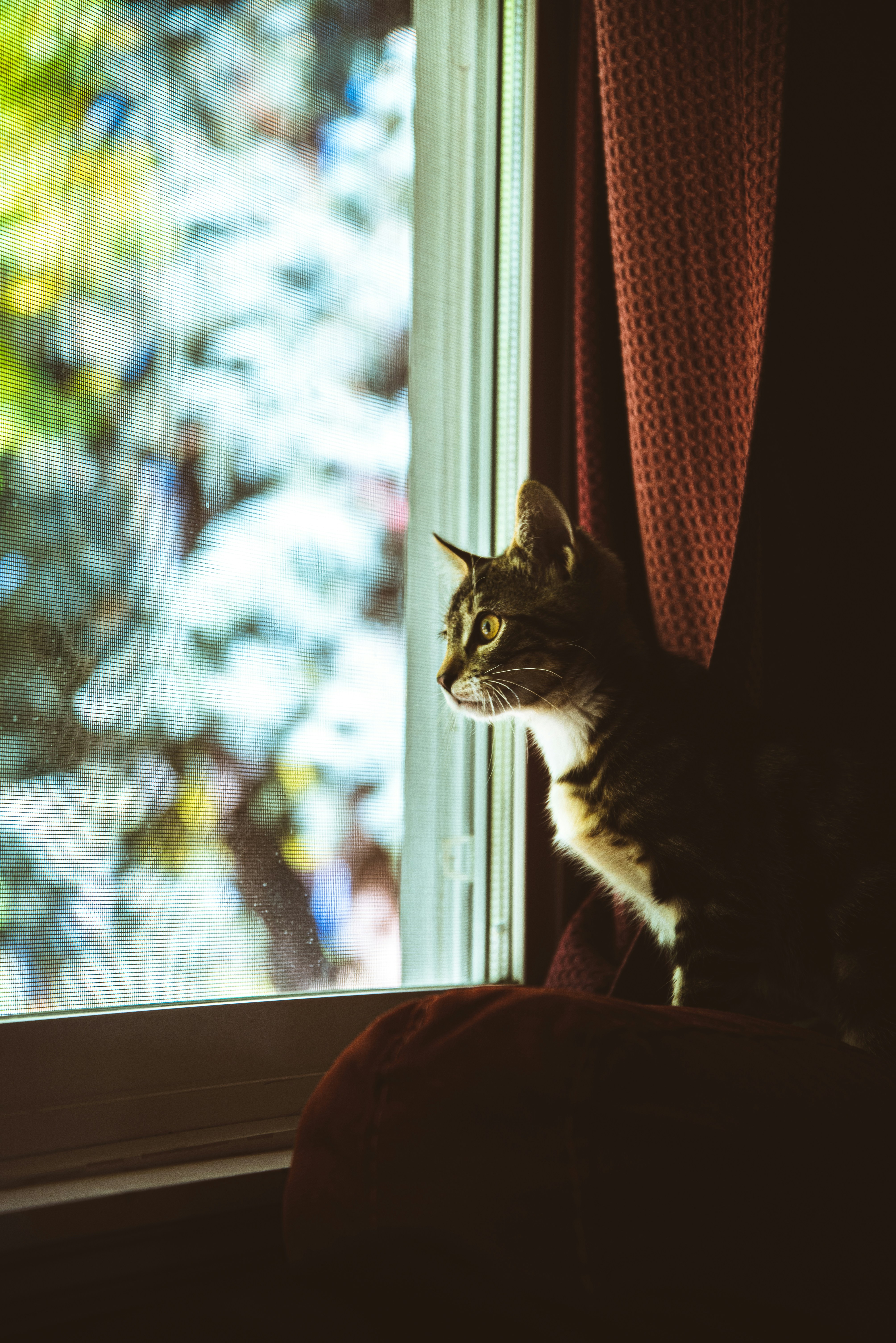 Photo by ryunosuke_kikuno