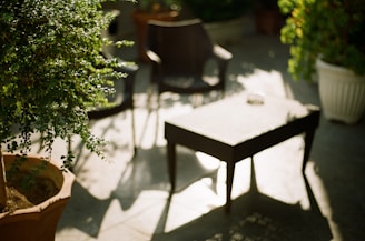 A serene patio scene featuring a minimalist metal table paired with rattan lounge chairs, bathed in soft natural light.