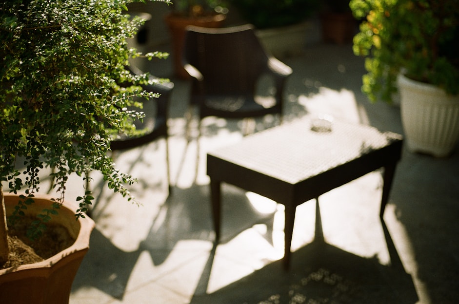 A sunlit patio featuring a rattan bistro set with plush cushions surrounded by greenery.