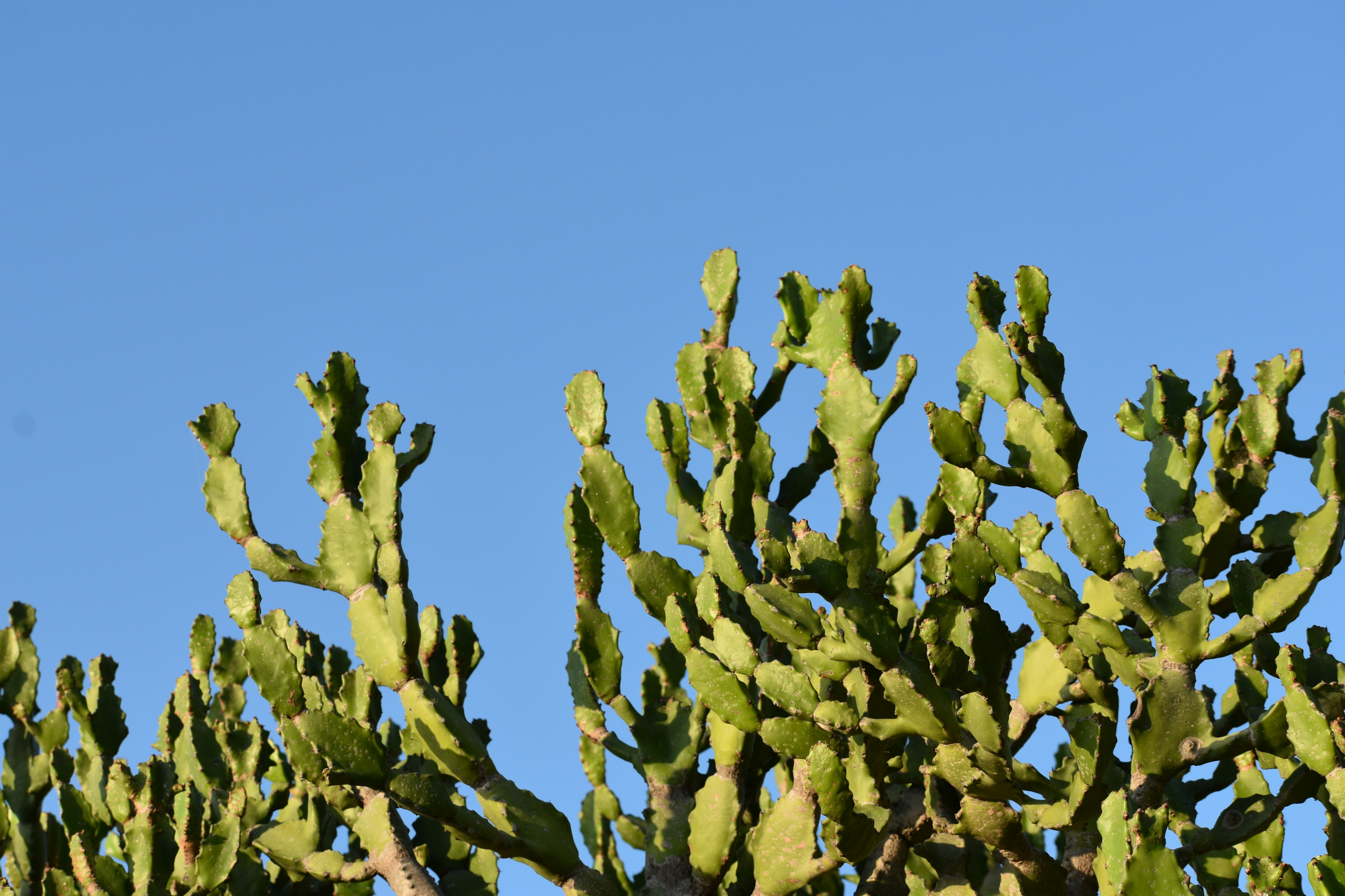 Photo by ramesh_photos