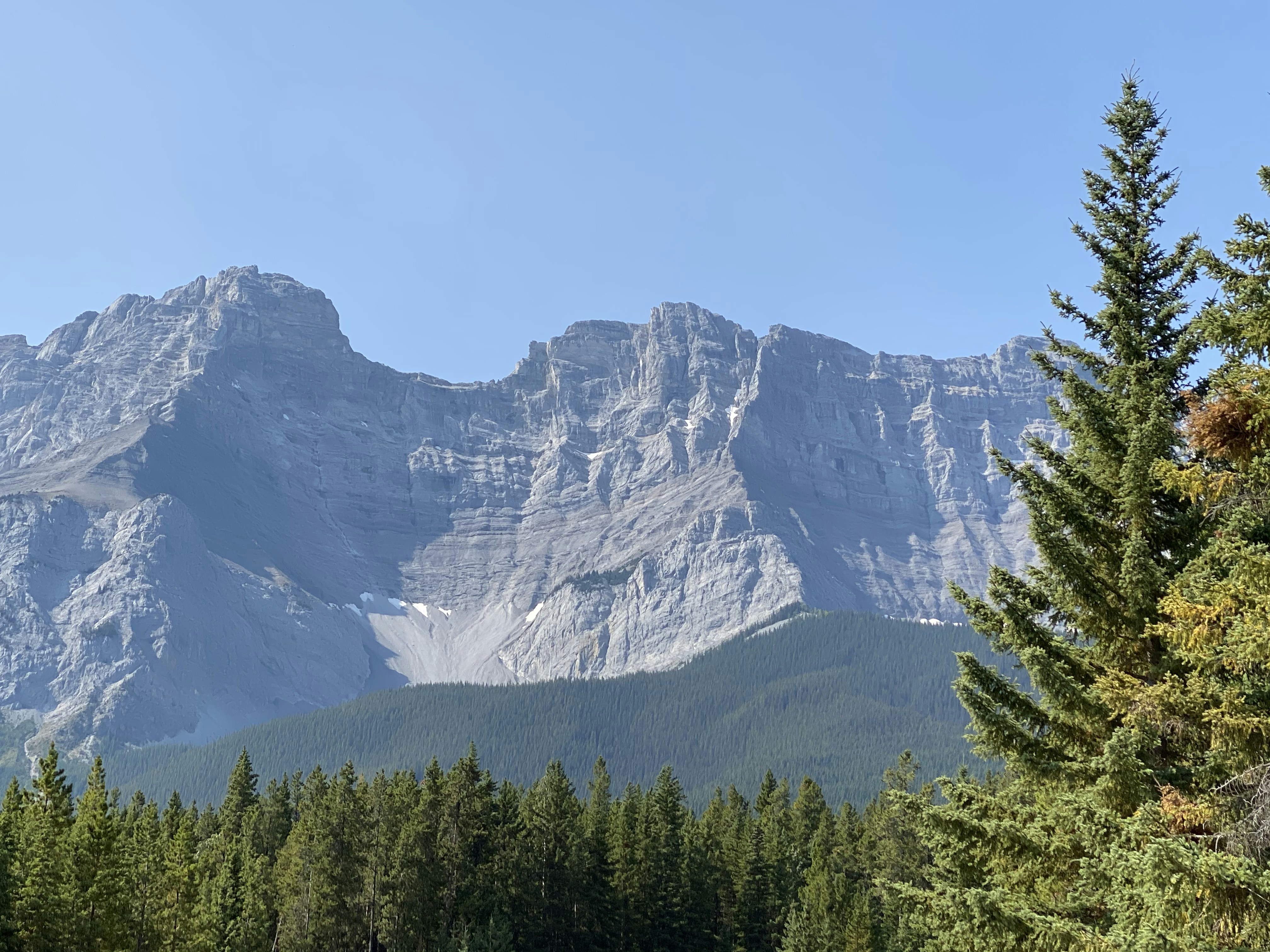 Photo by henriquepaim