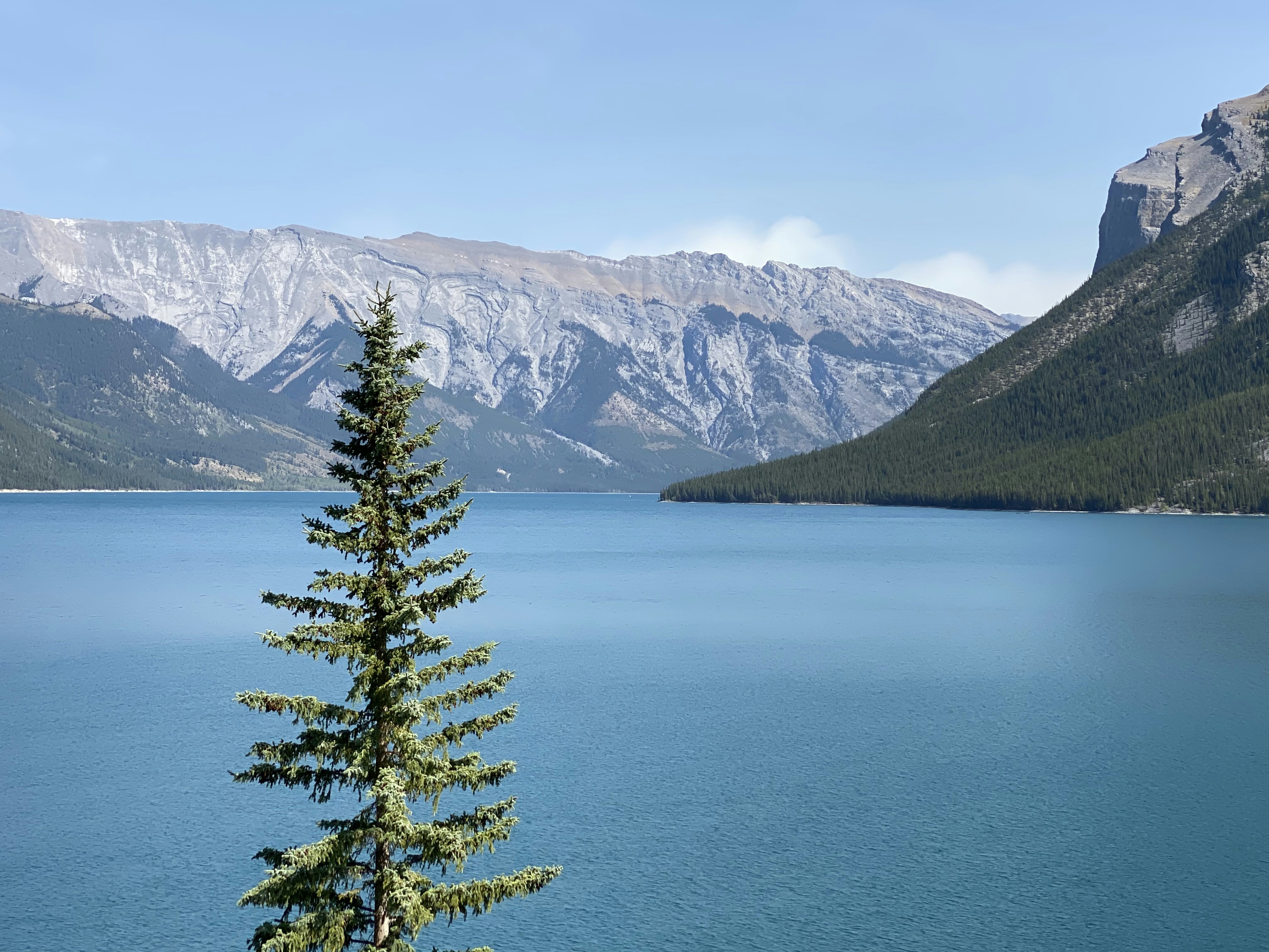 Photo by henriquepaim