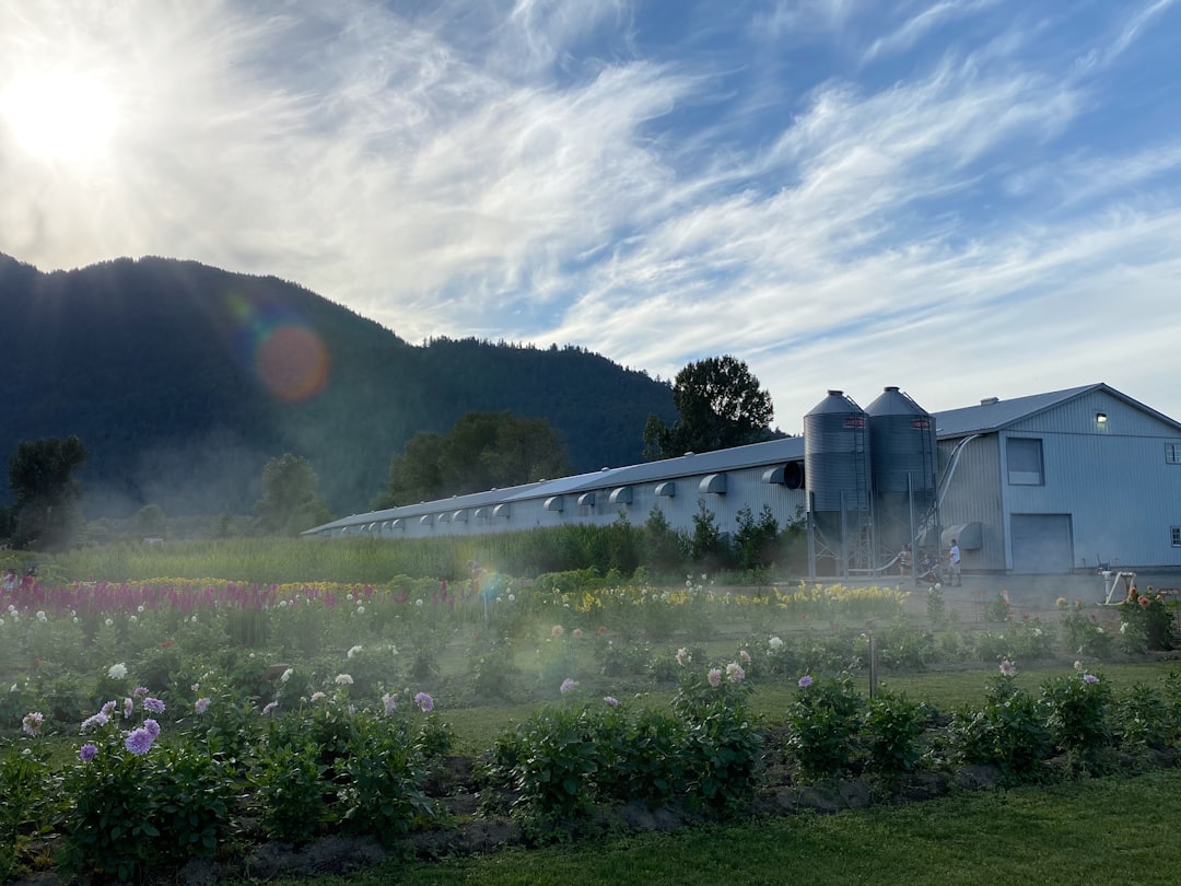 Hill station photo spot Chilliwack Pitt Meadows