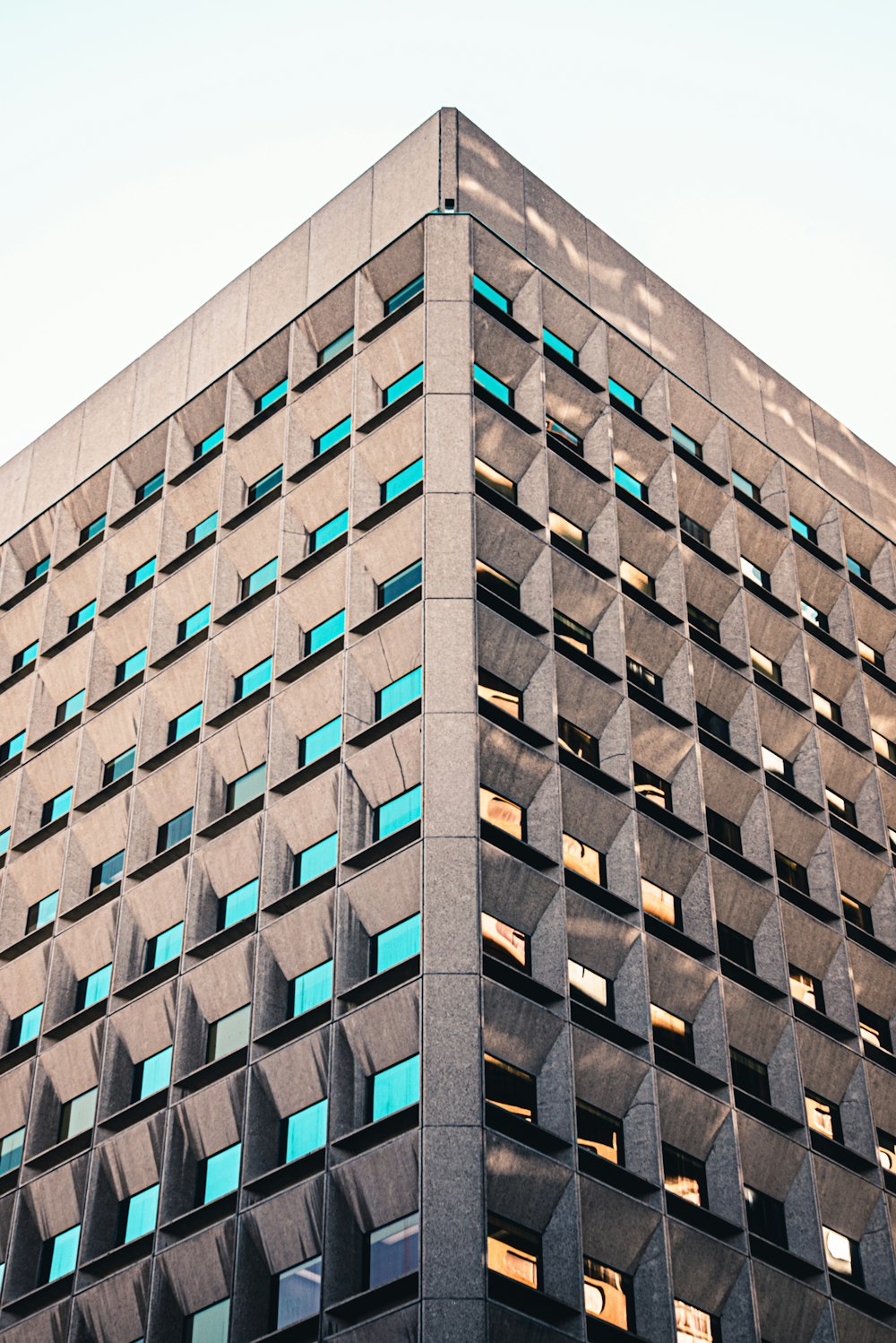 blue and brown concrete building