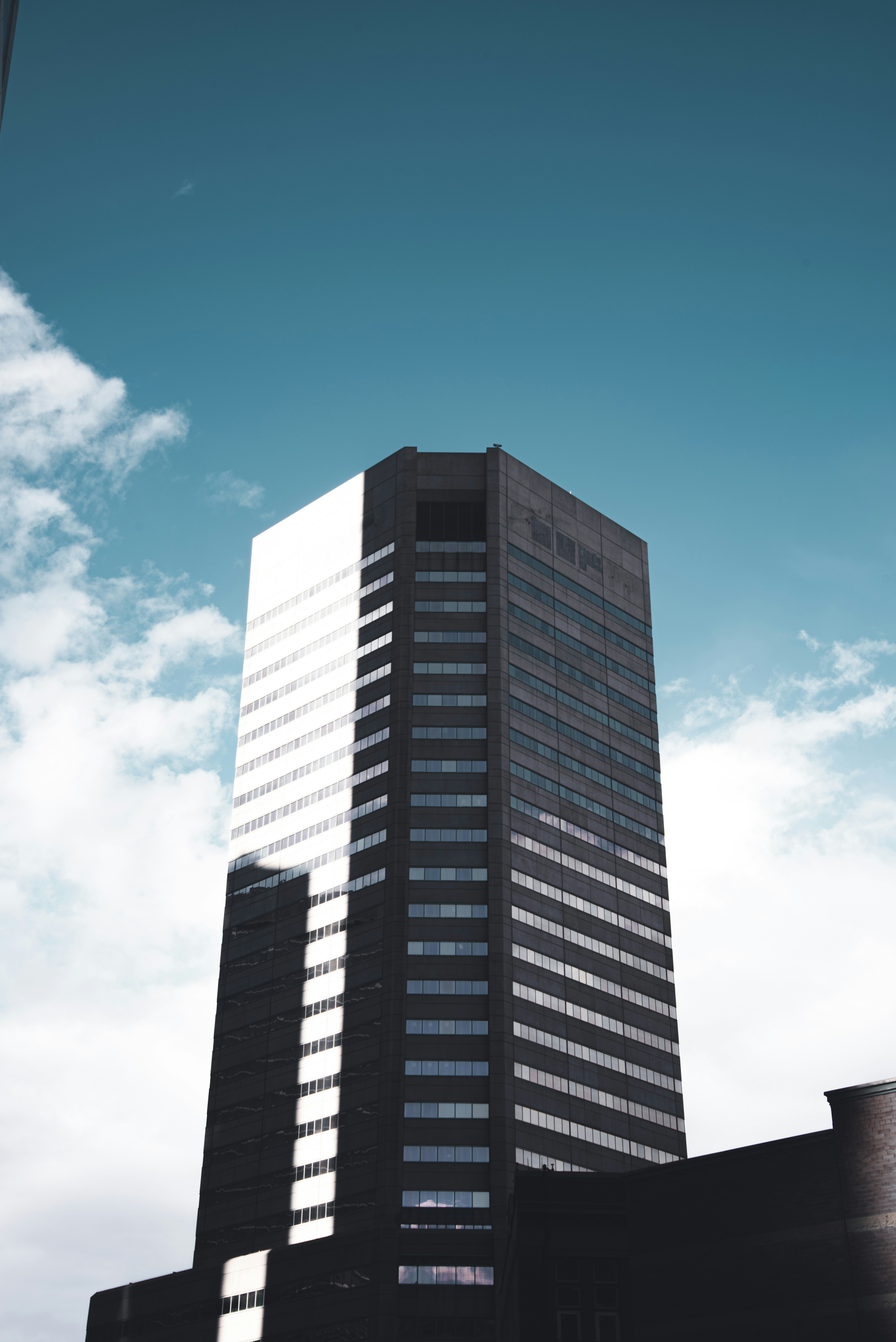 Photo by ryunosuke_kikuno