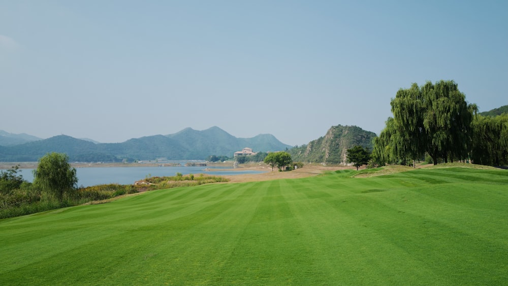 green grass field near body of water during daytime