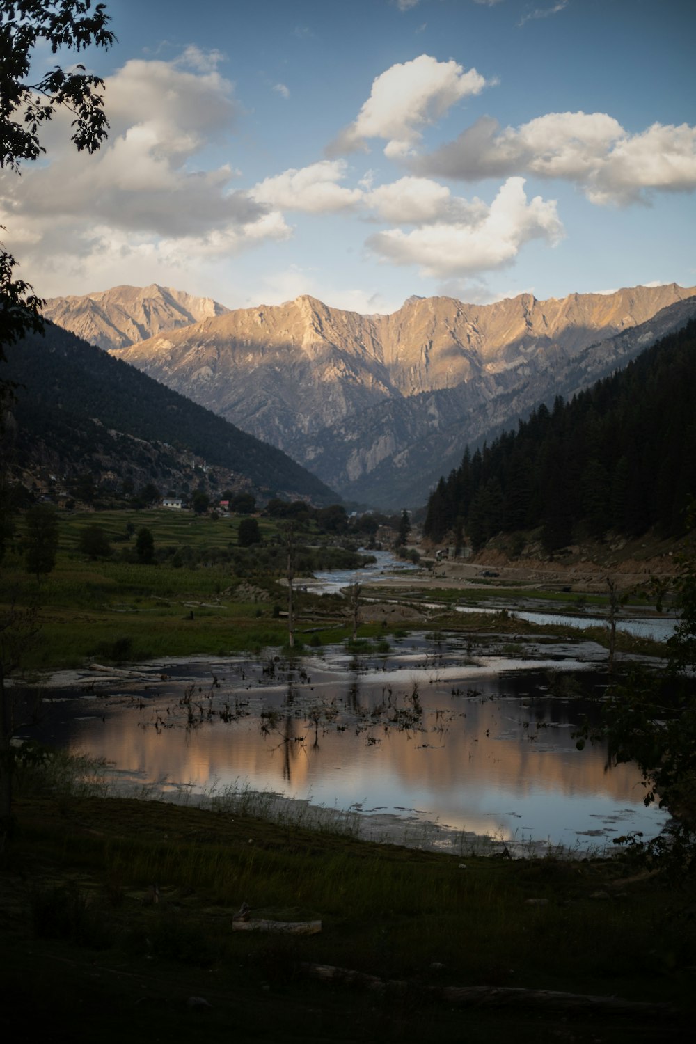 lake near green grass and trees with snow covered mountains in the distance